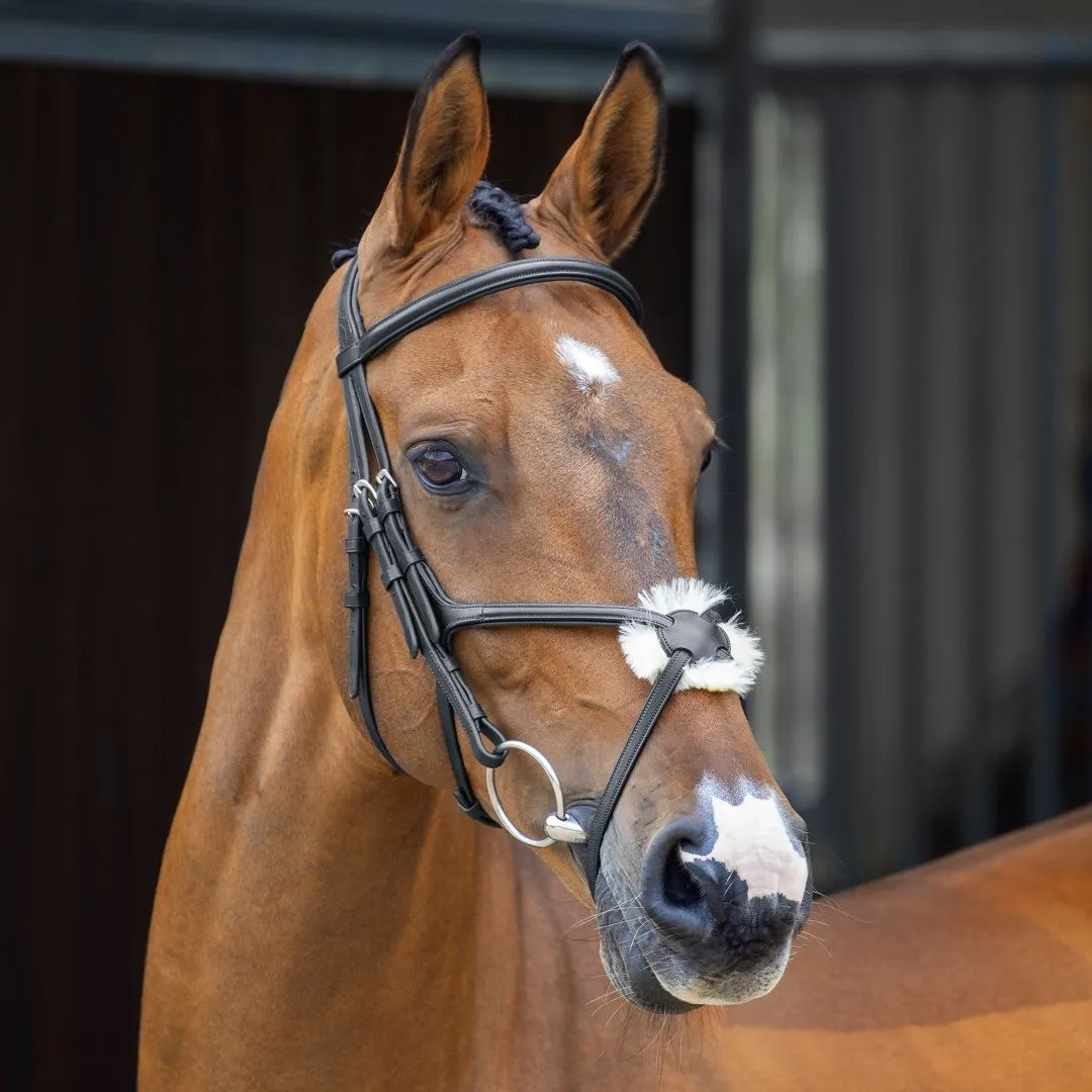 Lusso Grackle Bridle